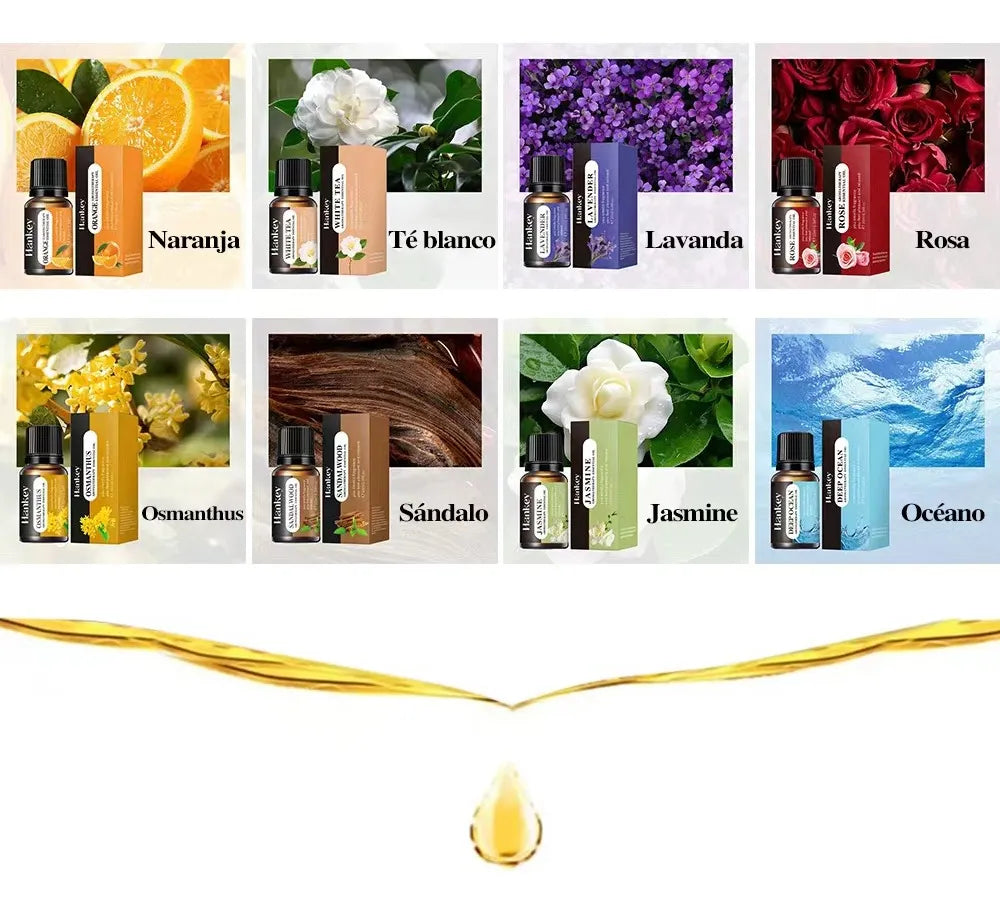 🌿 Difusor Aromatizador + 8 Esencias Naturales – Tu Hogar, Tu Santuario