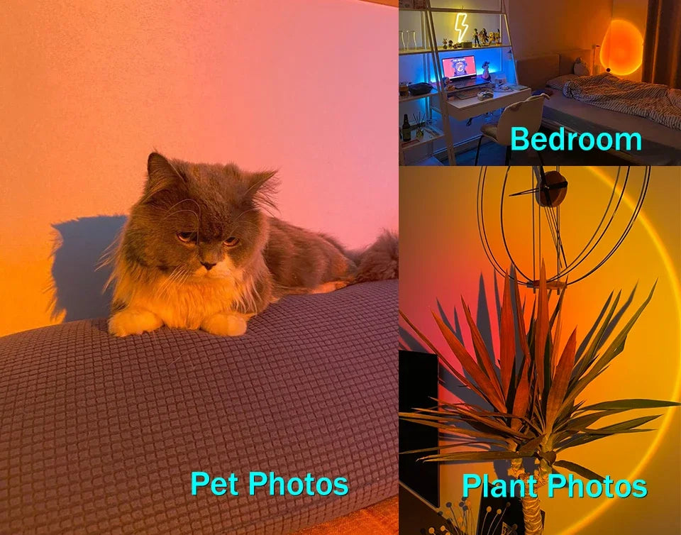 Lámpara LED de luz cálida, tu habitación se convierte en un espacio acogedor, ideal para relajarte, tomar fotos o disfrutar del momento.